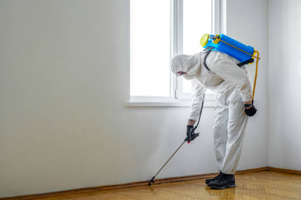 Best Pest Prevention Services  in Mckees Rocks, PA